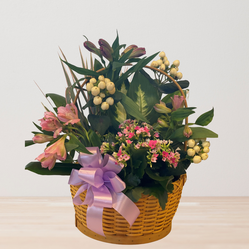 Basket Dish Garden